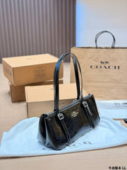 Coach Asher 34 Baguette Bag