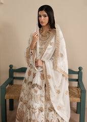 Haseens | Sakhiyan Formals | Nooristaan